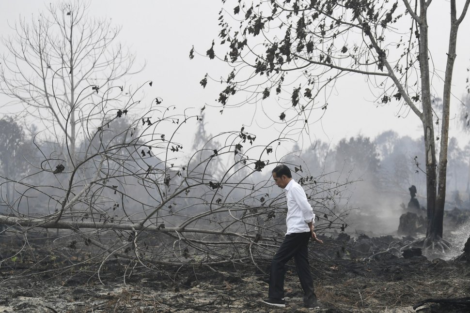 Presiden Joko Widodo meninjau penanganan kebakaran hutan dan lahan di Desa Merbau, Kecamatan Bunut, Pelalawan, Riau, Selasa (17/9).  [ANTARA FOTO/Puspa Perwitasari]