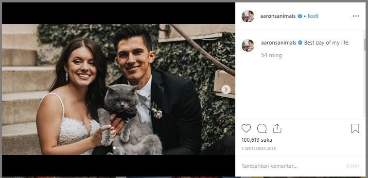 Kucing kesayangan yang jadi pengiring pengantin. (Instagram/aaronsanimals)