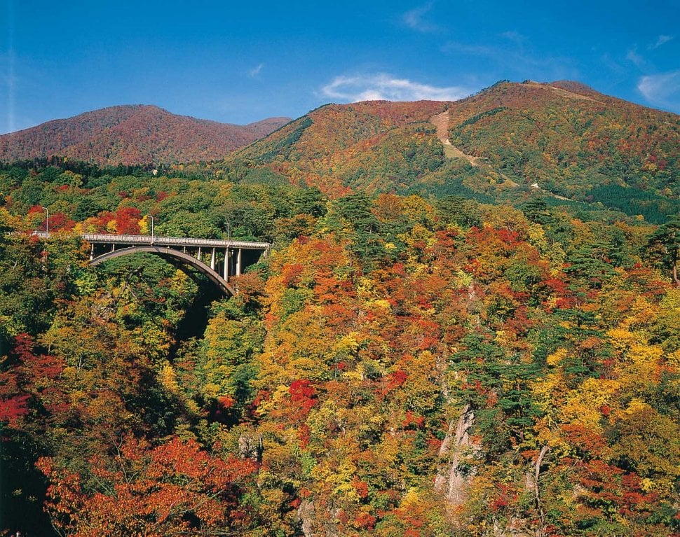 Naruko Gorge, Rekomendasi Tempat Menikmati Musim Gugur di Tohoku Jepang. (Vector Indonesia)