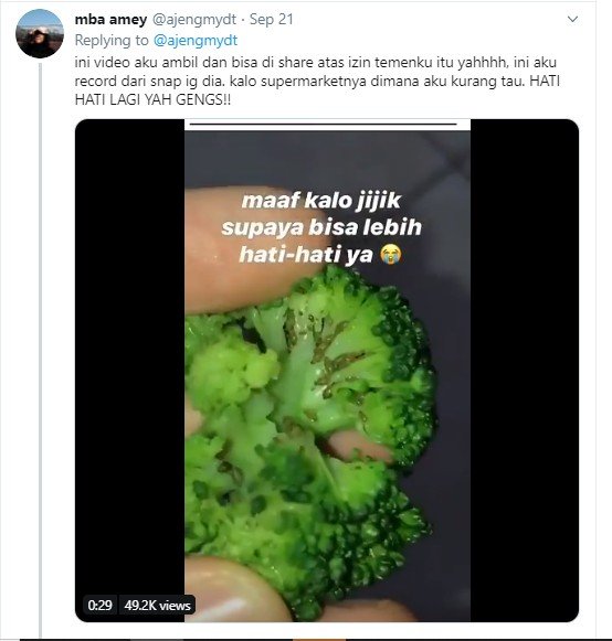 Kutu daun menempel di brokoli. (Twitter/ajengmydt)