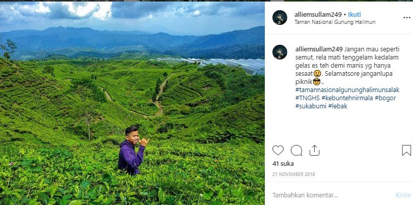 Taman Nasional Gunung Halimun. (Instagram/@alliemsullam249)