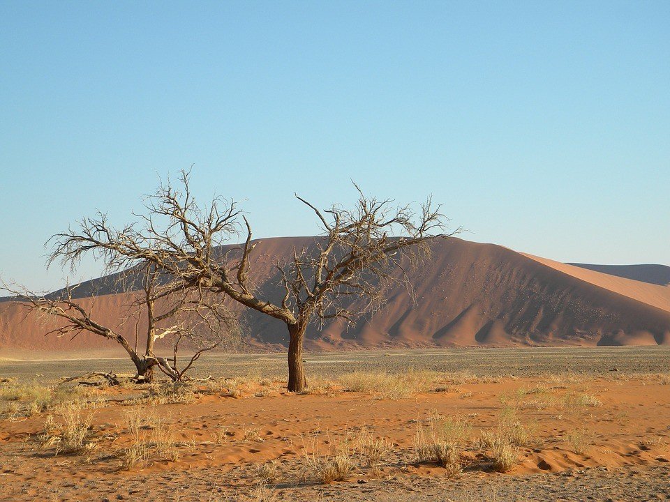 Gurun pasir tertua di dunia. (Pixabay/theperformancehiro)