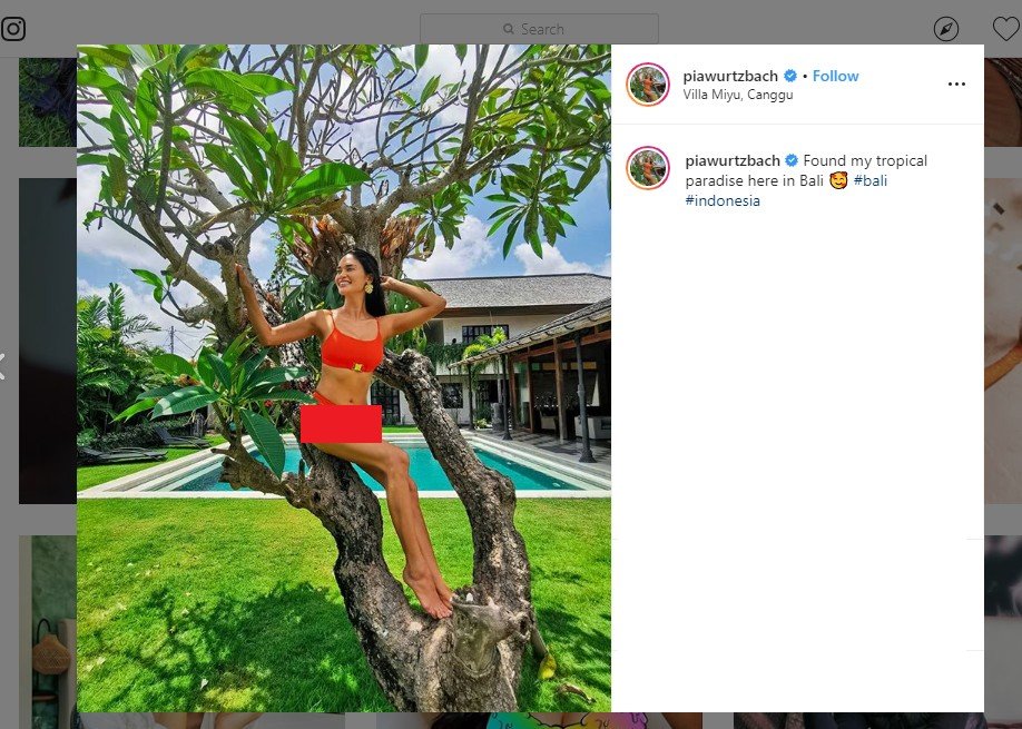 Liburan di Bali, Penampilan Miss Universe Pia Wurtzbach Bikin Salah Fokus