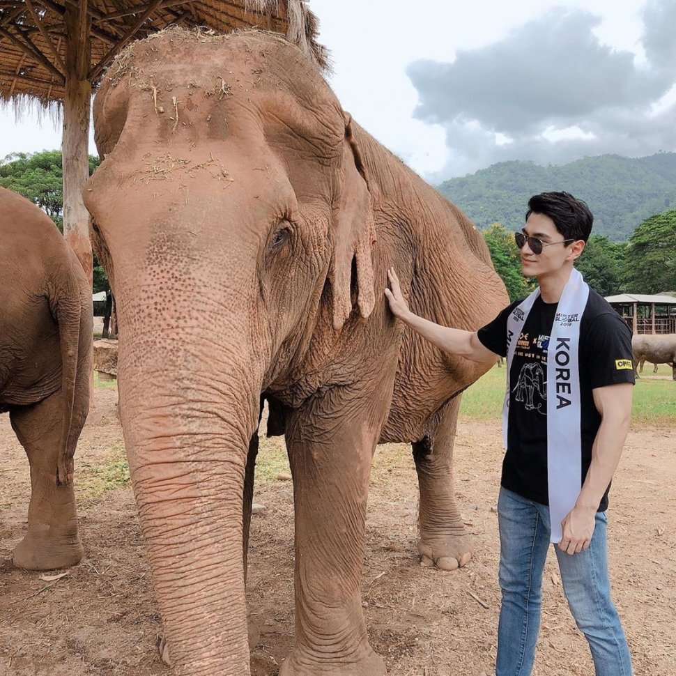 Gaya Liburan Jong Woo Kim, Juara Mister Global 2019 (instagram.com/tim_jongwoo)