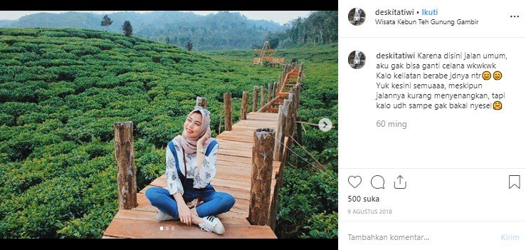 Kebun Teh Gunung Gambir. (Instagram/@deskitatiwi)