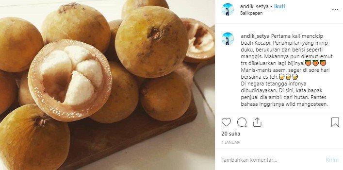 Buah Kecapi. (Instagram/@andik_setya)