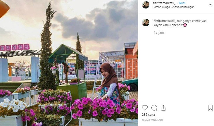 Taman Bunga Celosia. (Instagram/@fitrifatmawatii)