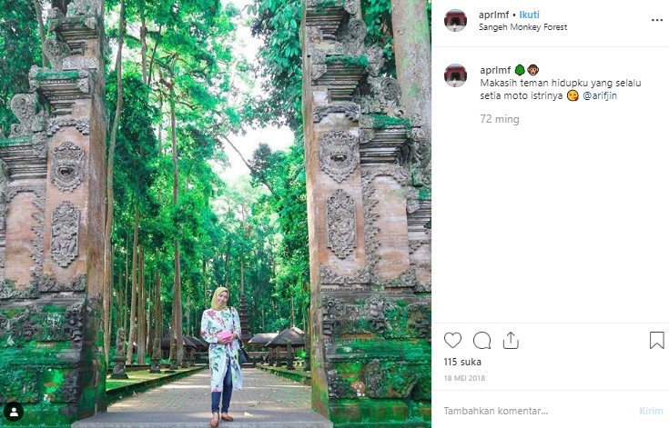 Sangeh Monkey Forest. (Instagram/@aprlmf)
