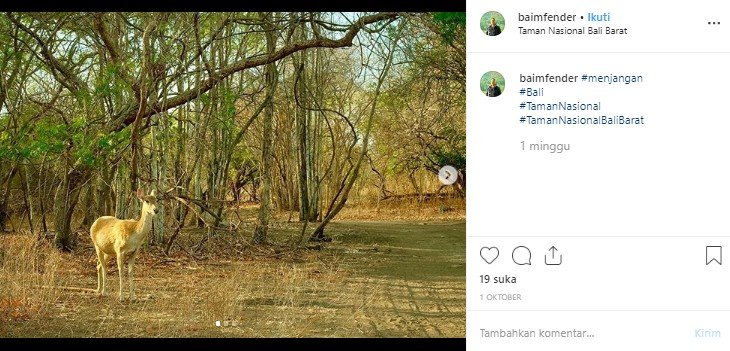 Taman Nasional Bali Barat. (Instagram/@baimfender)