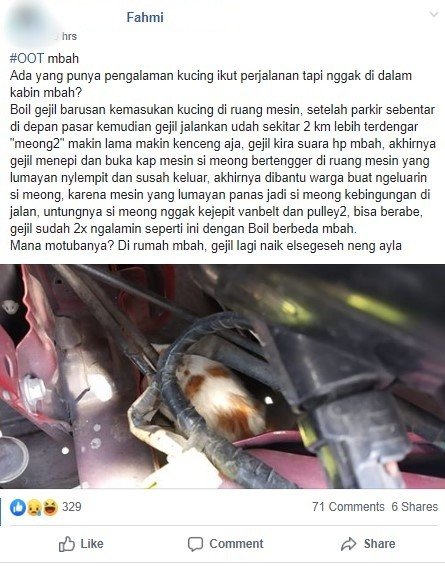 Kucing di Dalam Ruang Mesin Mobil. (Facebook)