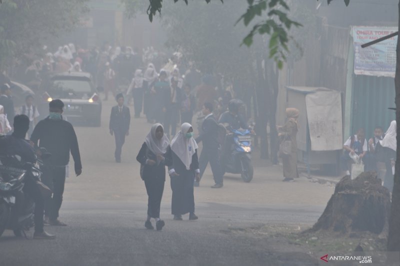 Kabut asap kebakaran hutan. (Antara)