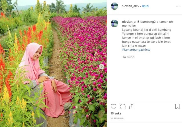 Taman Bunga Shinta di Serang, Banten. (Instagram/@nievian_al15)