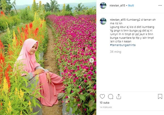 Cantiknya Taman Bunga Shinta  Cocok Dijadikan Pilihan 