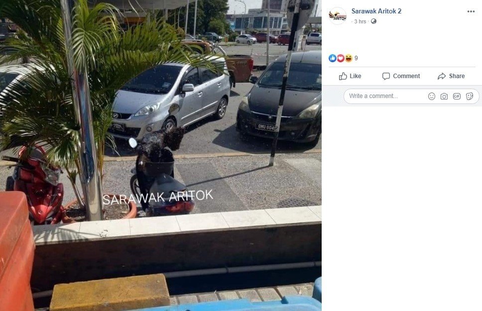 Setang Motor Jadi Sarang Lebah. (Facebook/Sarawak Aritok 2)