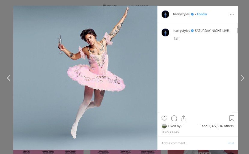 Harry Styles jadi balerina. (Instagram/@harrystyles)