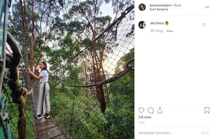 Bukit Bangkirai di Kalimantan Timur. (Instagram/@dararamadani)