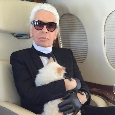 Choupette, kucing kesayangan Karl Lagerfeld. (Instagram/@choupettesdiary)