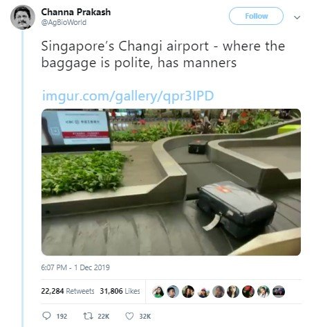 Koper antri dengan rapih di Bandara Changi, Singapura. (Twitter/@AgBioWorld)