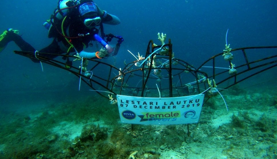 Komunitas Female Divers melakukan kegiatan membersihkan sampah di dalam laut dan menanam terumbu karang lewat kegiatan bertajuk 'Lestari Lautku'. (Dok. Female Divers)