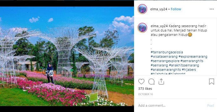 Taman Bunga Celosia di Bandungan, Semarang. (Instagram/@elma_uy24)