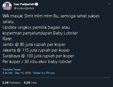 Cuitan Susi Pudjiastuti soal penyelundupan benih lobster. (Twitter/@susipudjiastuti)