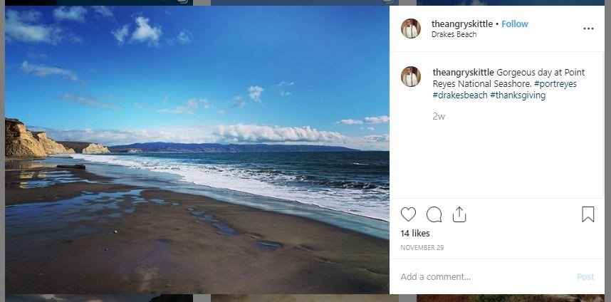 Pantai Drakes tempat ribuan ikan penis terdampar (instagram.com/theangryskittle)