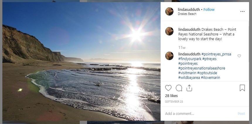 Pantai Drakes tempat ribuan ikan penis terdampar (instagram.com/lindasudduth)