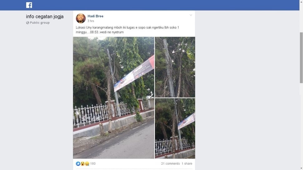 Batang pohon bertumpu pada tiang dan kabel listrik di UNY Karangmalang - (Facebook/Hadi Broe)