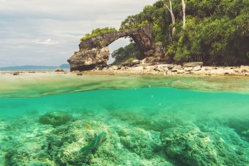 Wisata bawah laut di Kepulauan Andaman, India. (Shutterstock)