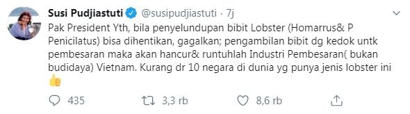 Pesan Susi Pudjiastuti untuk Jokowi soal ekspor benih lobster (Twitter/susipudjiastuti)