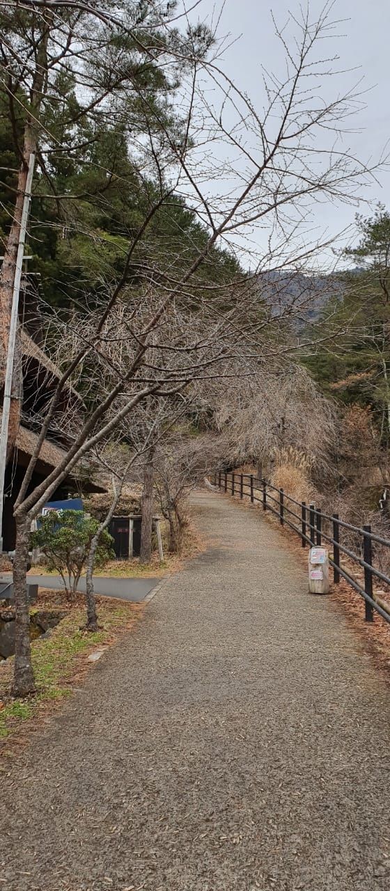 Iyashi No Sato Nenba di Kaki Gunung Fuji. (Suara.com/Vania Rossa)