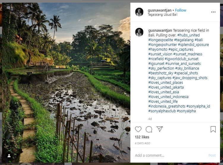 Sawah Tegalalang, Bali (instagram.com/gusnawantjan)