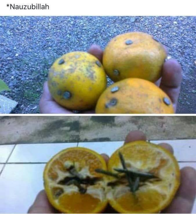 Viral kecelakaan yang disebabkan ranjau buah. (Facebook)