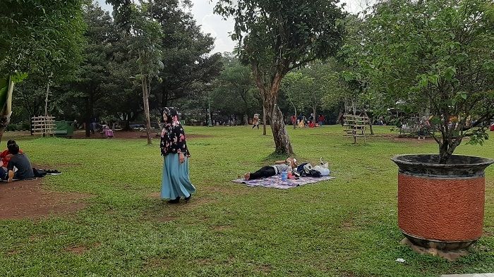 Taman Margasatwa Ragunan terlihat sepi di akhir pekan, Sabtu (4/1/2020). (Suara.com/Dini Afrianti)