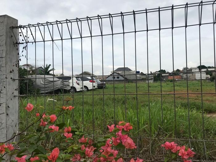 Situ Bunder, Depok, Jawa Barat, yang sekarang sebagian areanya menjadi lahan parkir kompleks perumahan. Sebelumnya, sempat menjadi tempat pembuangan sampah. [Suara.com/Erick Tanjung]