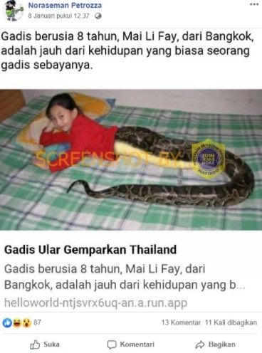 Gadis ular gemparkan Thailand. (turnbackhoax.id)