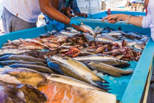 Ilustrasi Pasar Ikan. (Shutterstock)