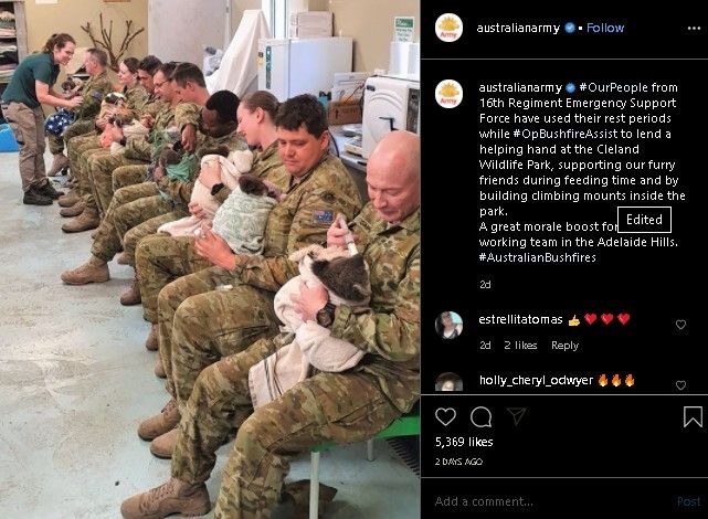 Tentara Australia rawat koala korban kebakaran hutan. (Instagram/@australianarmy)