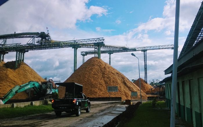 Kayu yang baru dicacah untuk dijadikan dissolving wood pulp di dalam kompleks pabrik PT Toba Pulp Lestari, Porsea, Sumatea Utara, 28 November 2019. [Tim IndonesiaLeaks]