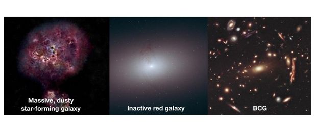 Gambar panel yang menunjukkan kondisi XMM-2599, kemungkinan trajektorinya, serta kondisi brightest cluster galaxy atau BCG [Dok NASA/ESA].