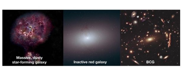 Gambar panel yang menunjukkan kondisi  XMM-2599, kemungkinan trajektorinya, serta kondisi brightest cluster galaxy atau BCG [Dok NASA/ESA].