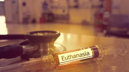 Ilustrasi euthanasia atau suntik mati. (Shutterstock)