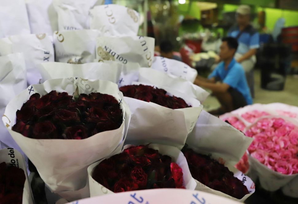 Pedagang membersihkan tangkai bunga mawar di Pasar Bunga Rawa Belong, Jakarta Barat, Selasa (11/2). [Suara.com/Alfian Winanto]