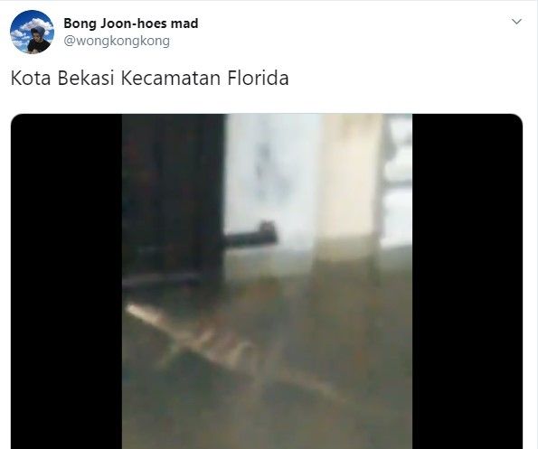 Penampakan hewan mirip buaya di permukiman Bekasi (Twitter/wongkingkong)