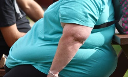 Ilustrasi perempuan mengalami obesitas. (Shutterstock)