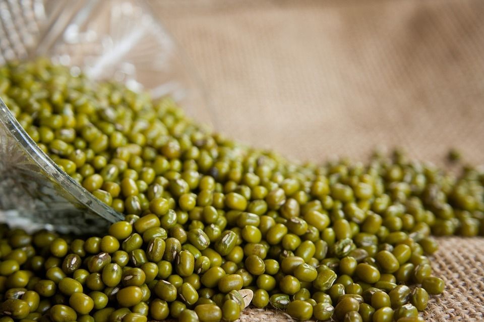 Kacang hijau (Pixabay/PDPics)