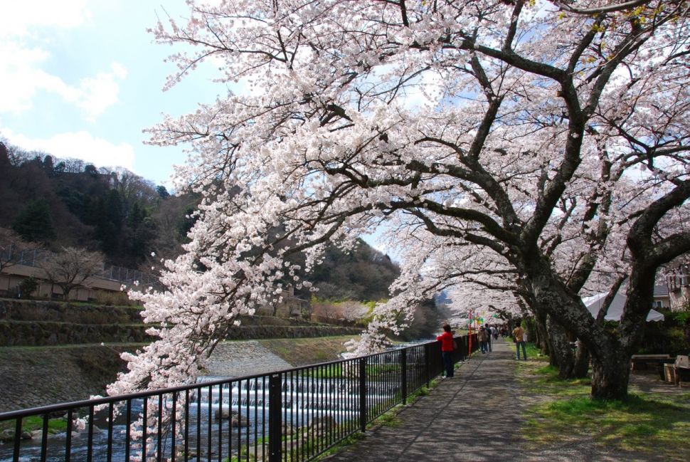 Hakone Miyagino (Dok. Prefektur Kanagawa)