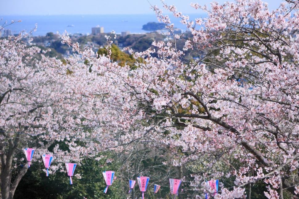 Taman Kinugasayama (Dok. Prefektur Kanagawa)