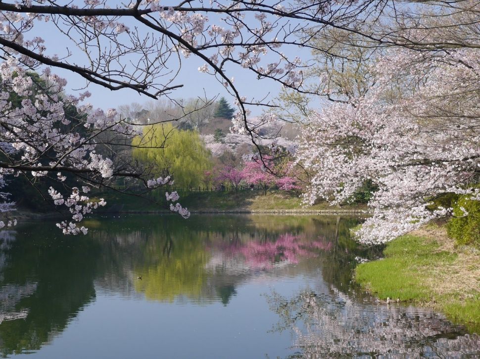 Taman Mitsuike (Dok. Prefektur Kanagawa)