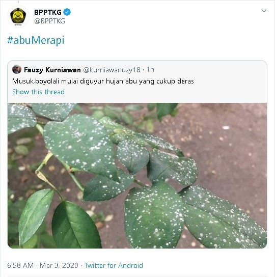 Erupsi Gunung Merapi, Selasa (3/3/2020). - (Twitter/@BPPTKG)